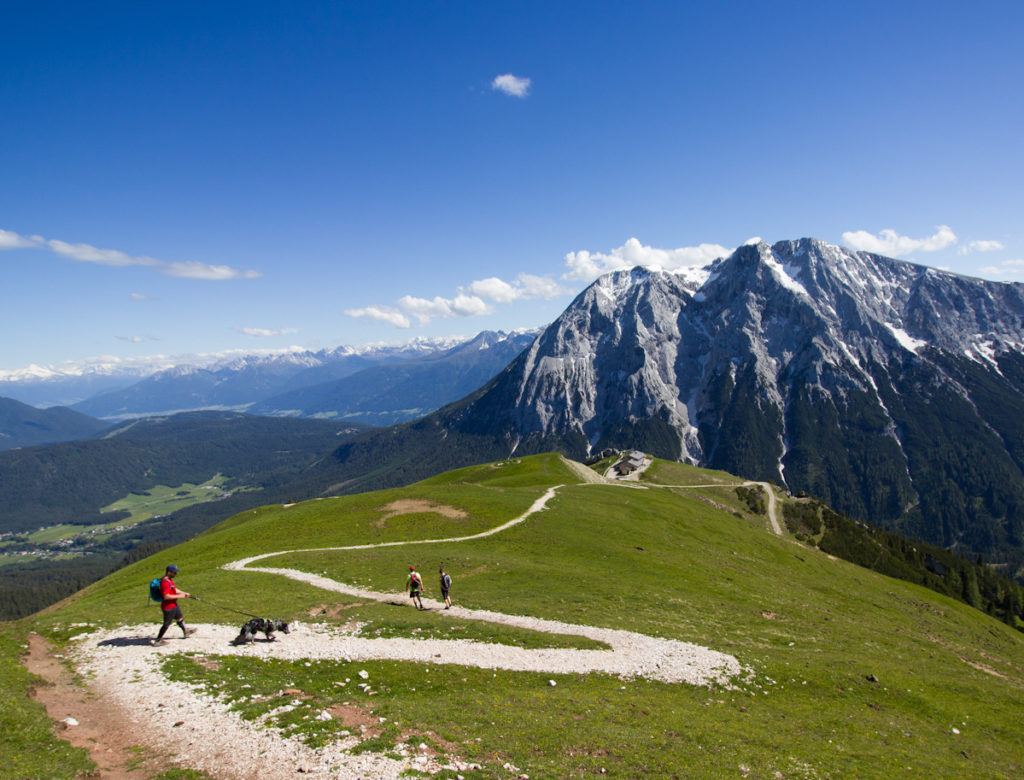 Ausblick vom Schönberggipfel auf die Alm