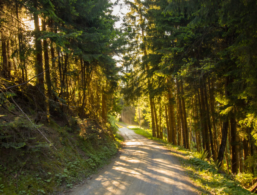 Weg zur Pfaffenhofener Hütte